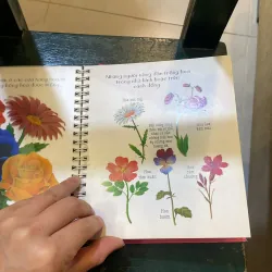 Những khám phá đầu tiên của tớ - Hoa - nhã nam 2018  1027415