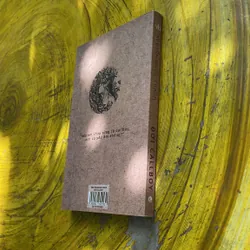 ĐỜI CALLBOY- (3)- NGUYỄN NGỌC THẠCH 706853