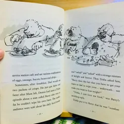 [Sách tiếng Anh 2hand] Like new 90% - The Boy in the Dress – David Walliams 572946