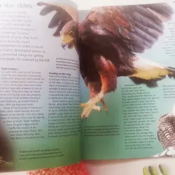 Dangerous Creatures 1002054