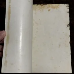 Con mèo của Founjita (có chữ kí tác giả) 708177