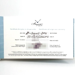 Breguet Queen of Naples YG/D 8908BA/52/864 DOOD YG tự động - Hàng hiệu chính hãng 875735