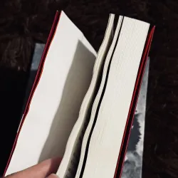 Combo 2c V. Nabokov 991099