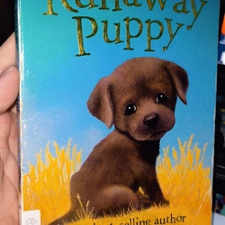Ngoại văn cũ về cún cưng cho bé Runaway Puppy - Holly web (bìa sờn)