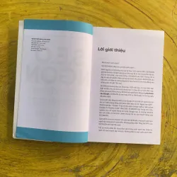 S.E.O NGON HIỂU ĐÚNG LÀM ĐÚNG TƯ DUY LÀM SEO TỪ NGUYÊN LÝ 991343