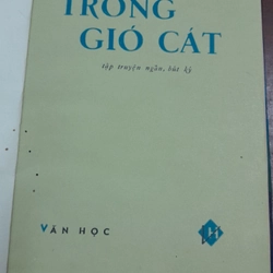 TRONG GIÓ CÁT - BÙI HIẾN 199315