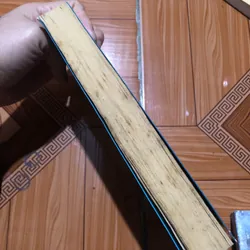 Búp sen xanh - Sơn Tùng 714107