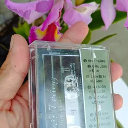 Băng Cassette Nhạc Tuyết Trắng Mạnh Quỳnh 957102