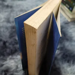 Người yêu dấu (Toni Morrison) 604275