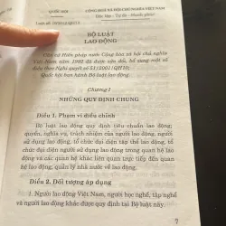 Bộ luật Lao động 2012 1029294