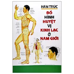 Đồ Hình Huyệt Vị Kinh Lạc Ở Nam Giới - Hán Trúc 402274