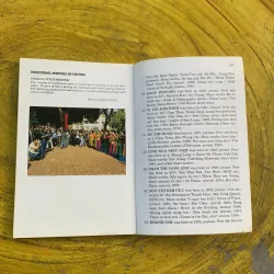 THE VIETNAM LITERATURE REVIEW  787171