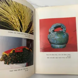 Trầu Cau Việt Điện Thư - Nguyễn Ngọc Chương - Nghiên cứu Văn hóa 706070