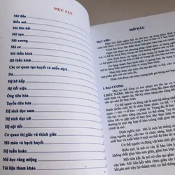 MÔ HỌC  2020 701980