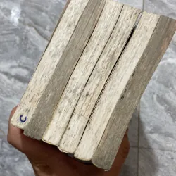 6 tập - Hotgirl trường Spencer - Shelley Adina 970006