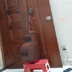 Đàn Guitar cho người mới tập