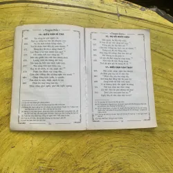 COMBO NGUYỄN DU & TRUYỆN KIỀU - NGUYỄN DU 746702