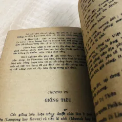 KỸ THUẬT TRỒNG TIÊU 956884