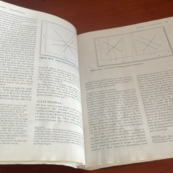 Managerial economics Paul G. Keat Philip K.Y. Young 536700