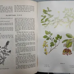 NHỮNG CÂY THUỐC VÀ VỊ THUỐC VIỆT NAM 682769