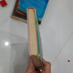 The bobbsey twins and the big rivers mystery 930936