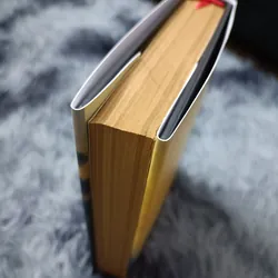 Tình yêu không quên (Natsume Soseki) 675609