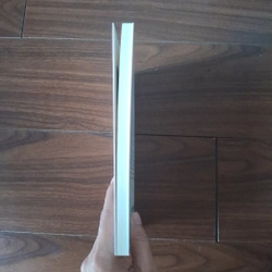 Những tản văn suýt bỏị quên của bọ Lập - Nguyễn Quang Lập 523189