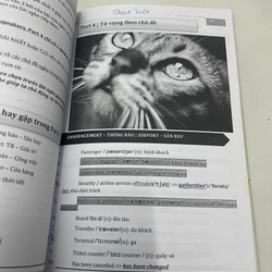 Giáo trình luyện thi Toeic mới nhất  548123