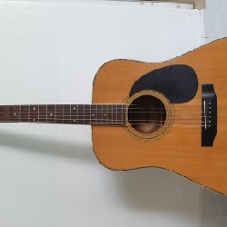 Acoustic Guitar Morris w30 17773