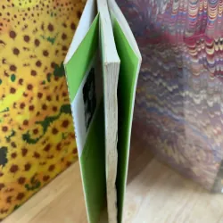 Bí Mật Giữa Tôi Và Thằn Lằn Đen - Lý Lan 927955