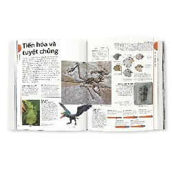 Khủng Long - DK 690114