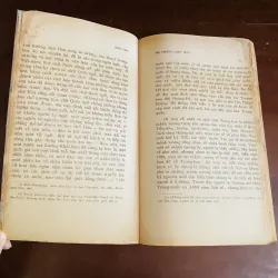Hán văn - Trần Trọng San (năm 1971) 790342