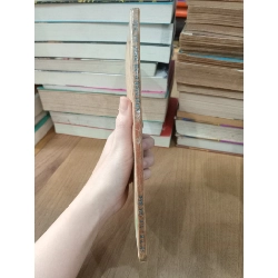 TRẠNG NGHÈ CỐNG -NGUYỄN ĐÌNH BƯU 128339