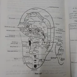 CHÂM CỨU HỌC Trung QUỐC  674270