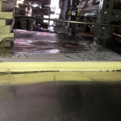 Chờ hoa nguyên soái nở - Nguyệt Hạ Tang 1019434