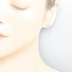 PT900 Bông tai Kim cương 0.60CT - Hàng hiệu Chính hãng 870486