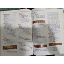 Pehal the start - Vikrant Rohin