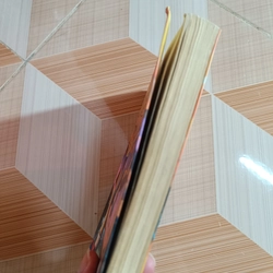 Harry Potter và Hòn Đá Phù Thủy số La Tinh  362745