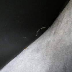 Túi Louis Vuitton Epi Pont Neuf M52052 617811