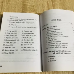 THIẾU LÂM TUYỆT CHIÊU ĐIỂM HUYỆT GIẢI HUYỆT  1011267