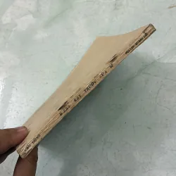 Hàng cây trước cửa sổ - Nguyễn Quang Lộc 998257