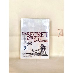 The Secret Life Of Salvador Dalí 126800