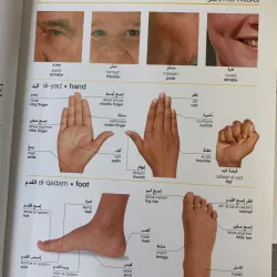 ARABIC ENGLISH BILINGUAL VISUAL DICTIONARY (TỪ ĐIỂN HÌNH ẢNH SONG NGỮ  ANH - Ả RẬP) 763430