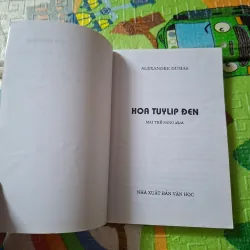Hoa Tuy Líp Đen 789073