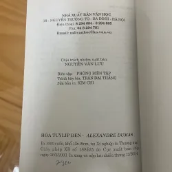 Hoa tulip đen 990472