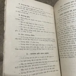 Giải phẫu & Phẫu Thuật xương chị trên; Xb 1957 1011242