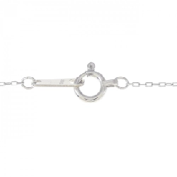 Dây chuyền kim cương K10WG 0.05CT - Hàng hiệu Chính hãng 861443