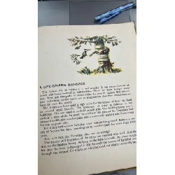 THE MAGIC TREE - Nikolai Osipov 165209
