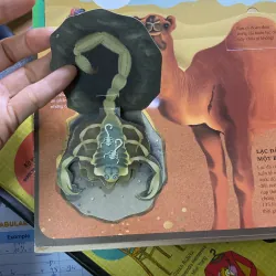 Atlas da tương tác  về động vật hoang dã 766035