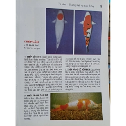 Cá cảnh: Thưởng thức & nuôi dưỡng - Saigonbook (biên soạn) 546310